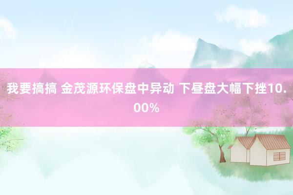 我要搞搞 金茂源环保盘中异动 下昼盘大幅下挫10.00%