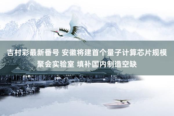 吉村彩最新番号 安徽将建首个量子计算芯片规模聚会实验室 填补国内制造空缺