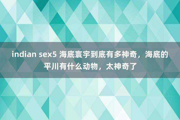 indian sex5 海底寰宇到底有多神奇，海底的平川有什么动物，太神奇了