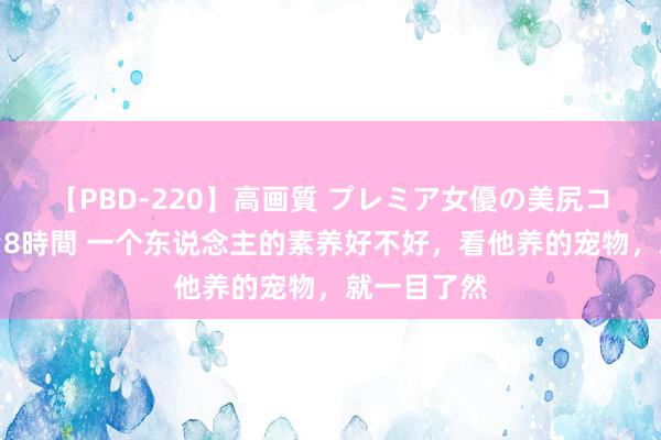 【PBD-220】高画質 プレミア女優の美尻コレクション8時間 一个东说念主的素养好不好，看他养的宠物，就一目了然