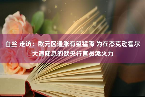 白丝 走访：欧元区通胀有望猛降 为在杰克逊霍尔大道降息的欧央行官员添火力