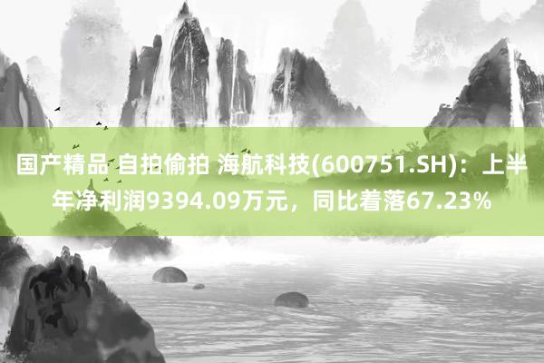 国产精品 自拍偷拍 海航科技(600751.SH)：上半年净利润9394.09万元，同比着落67.23%